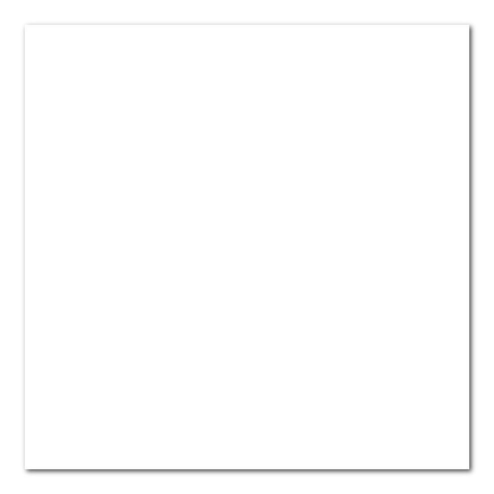 Canson Art Board 16X20 Mi-Teintes 335 White