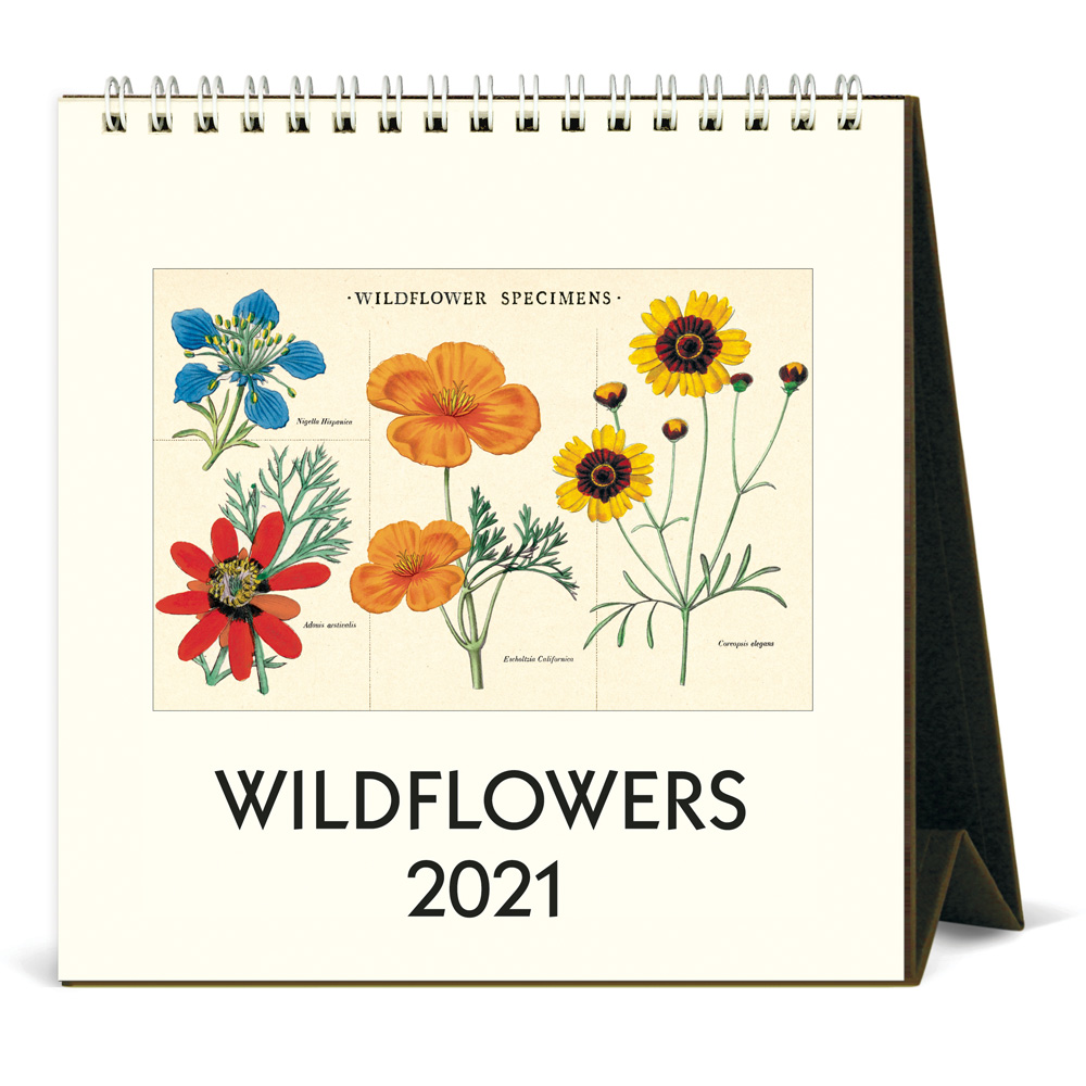 BUY Cavallini 2021 Desk Calendar Wildflower