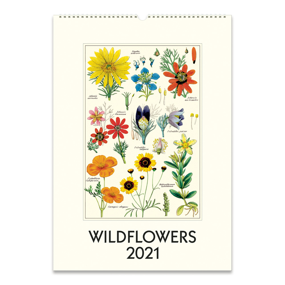 buy-cavallini-2021-wall-calendar-wildflowers