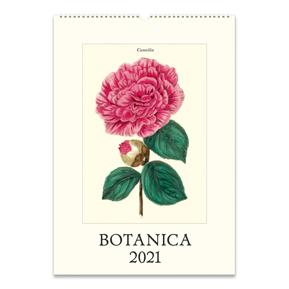 BUY Cavallini 2021 Wall Calendar Botanica