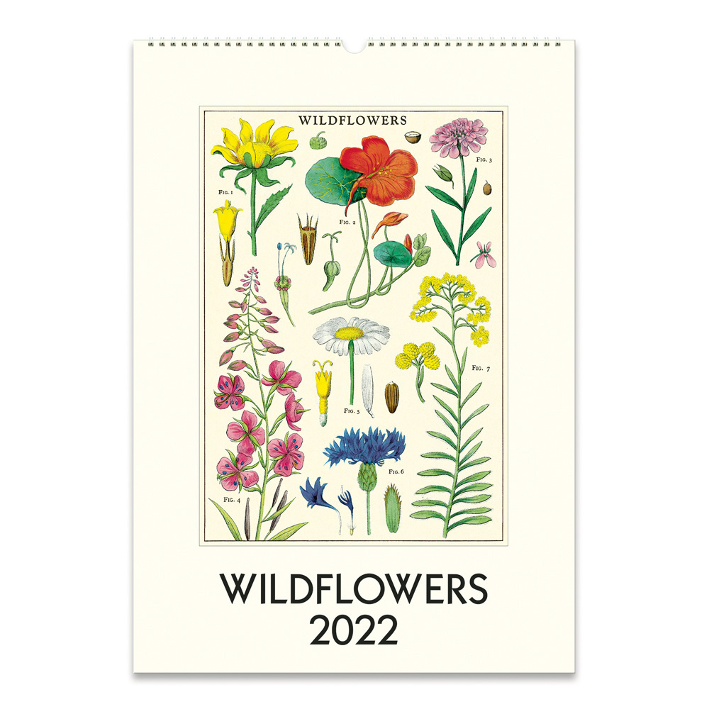 BUY Cavallini 2022 Wall Calendar Wildflowers