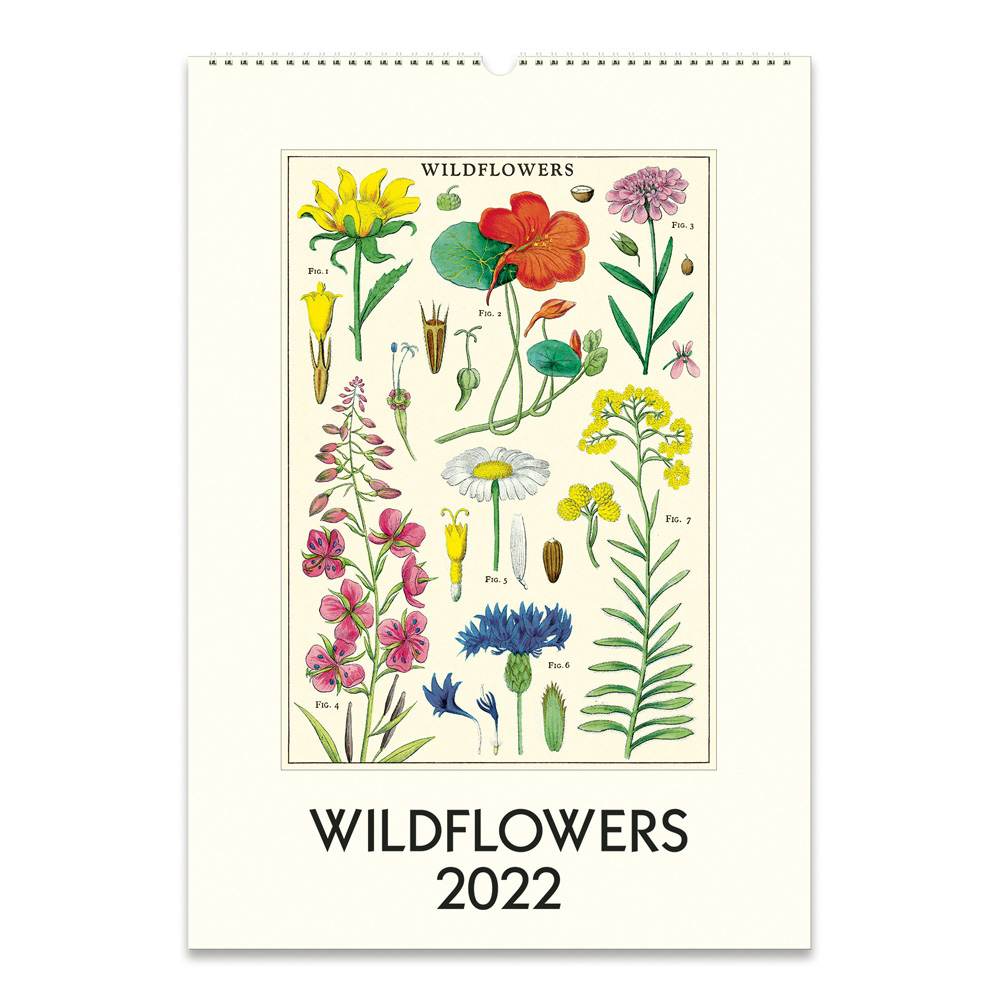Cavallini Calendar Customize And Print