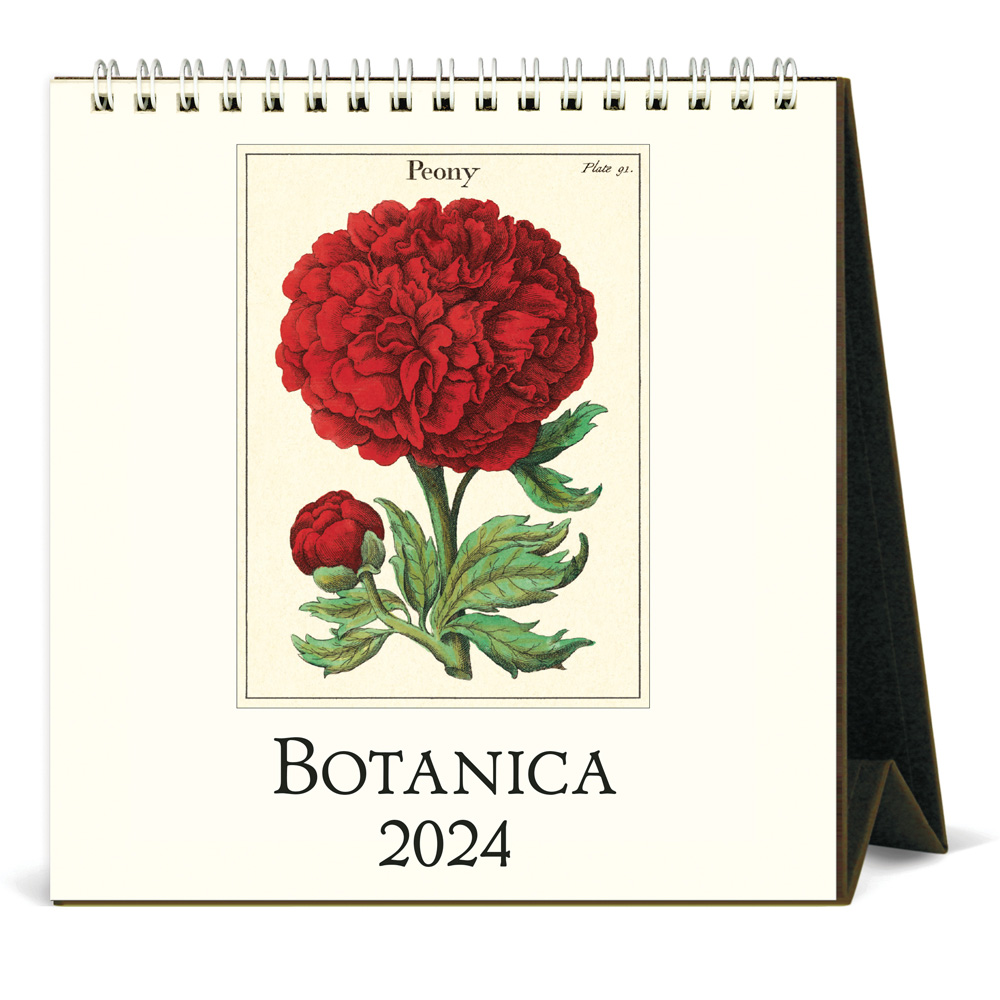 BUY Cavallini 2024 Desk Calendar Botanica