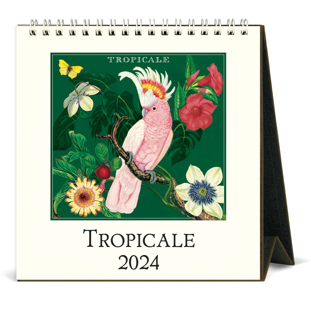 BUY Cavallini 2024 Desk Calendar Tropicale