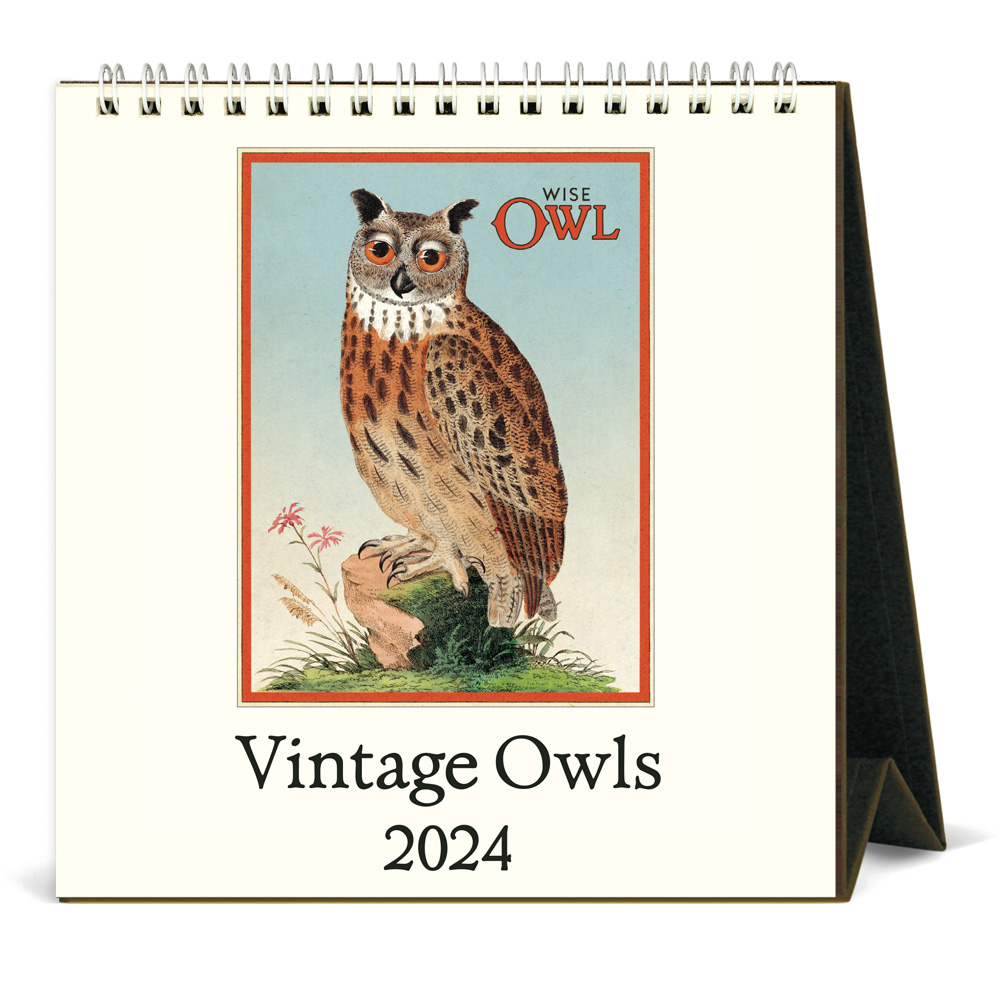 BUY Cavallini 2024 Desk Calendar Owls