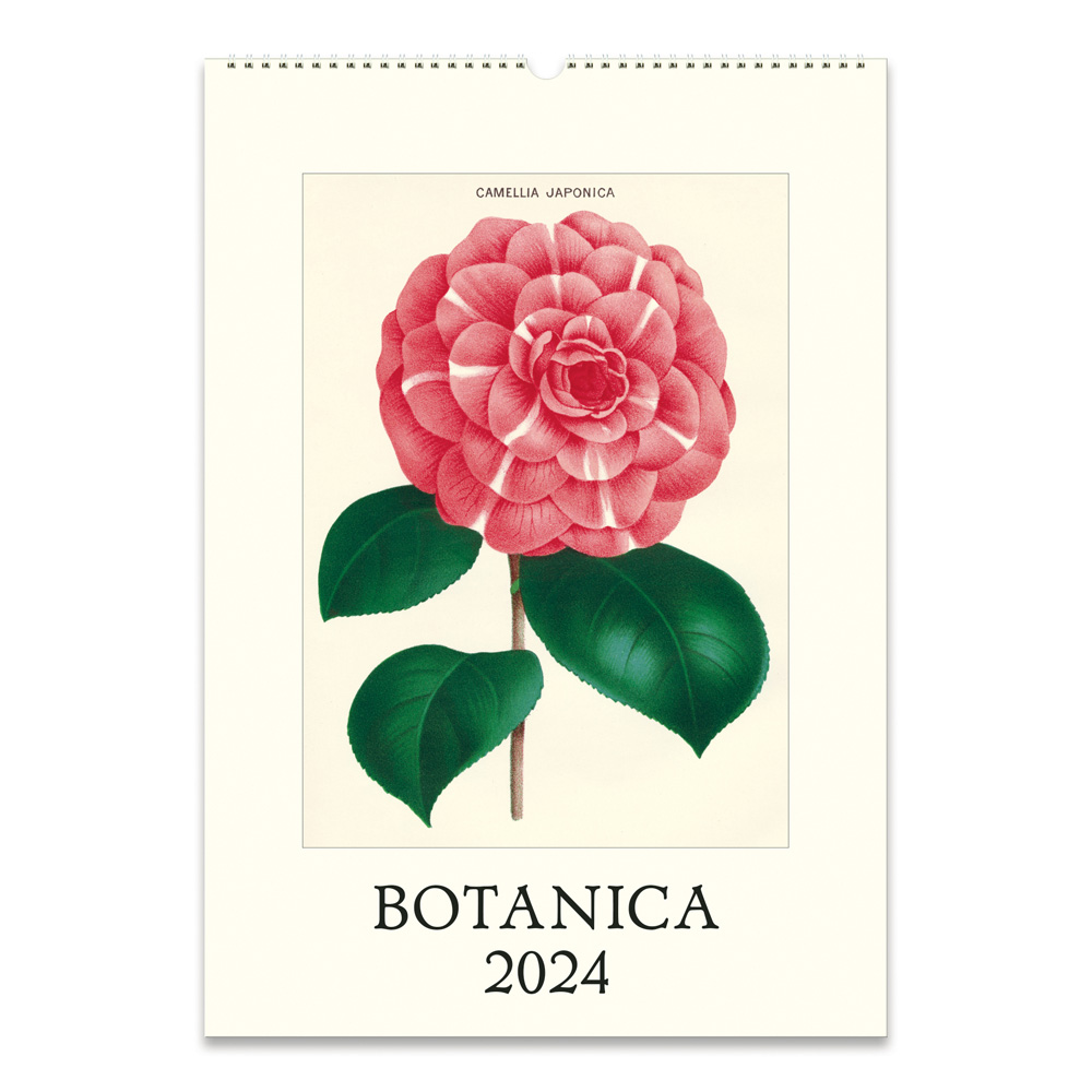 BUY Cavallini 2024 Wall Calendar Botanica