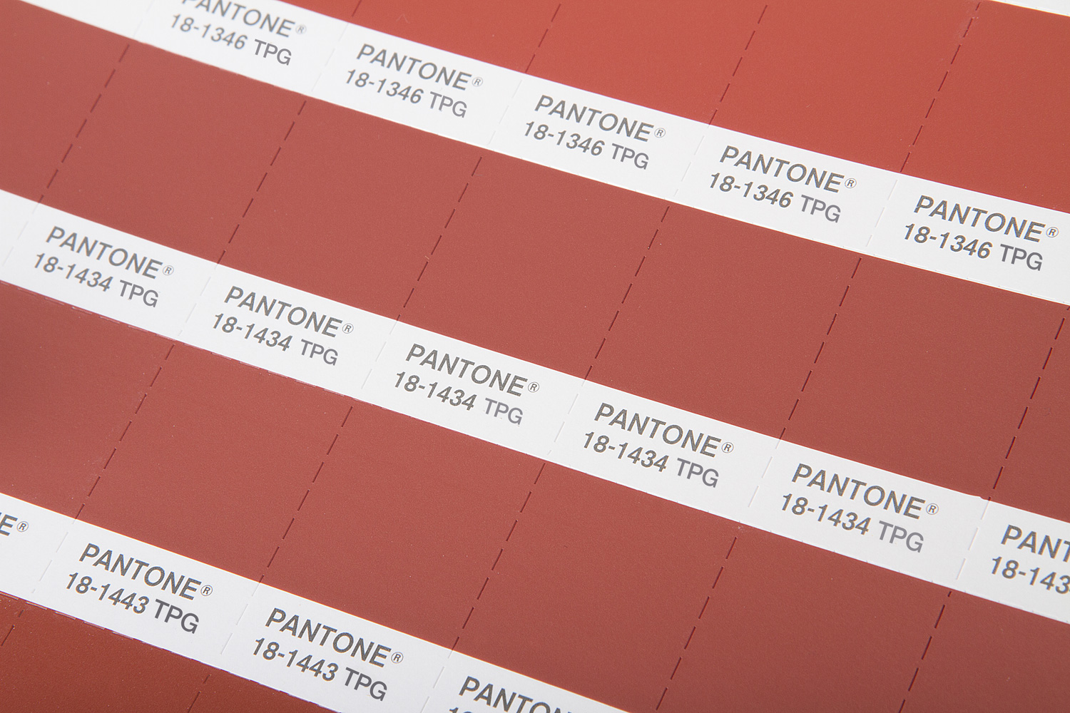 Pantone Fhi Tpg Page 86 Vol. 1