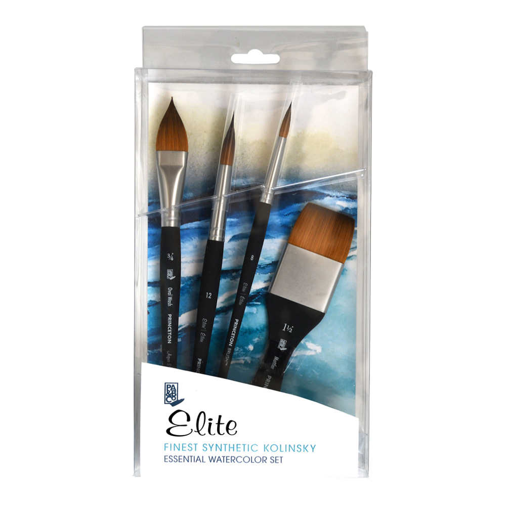 Elite Professional Brush 4 Piece Box Set