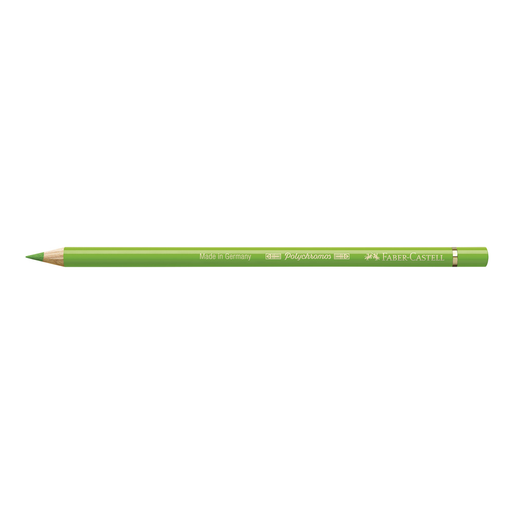 Polychromos Pencil 166 Grass Green