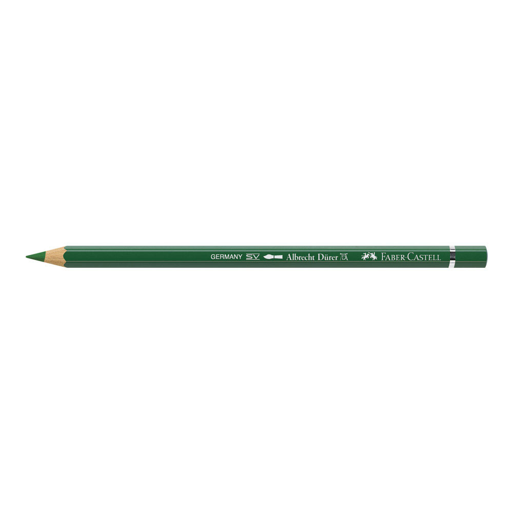 Albrecht Durer W/C Pencil 167 Perm Gr Olive