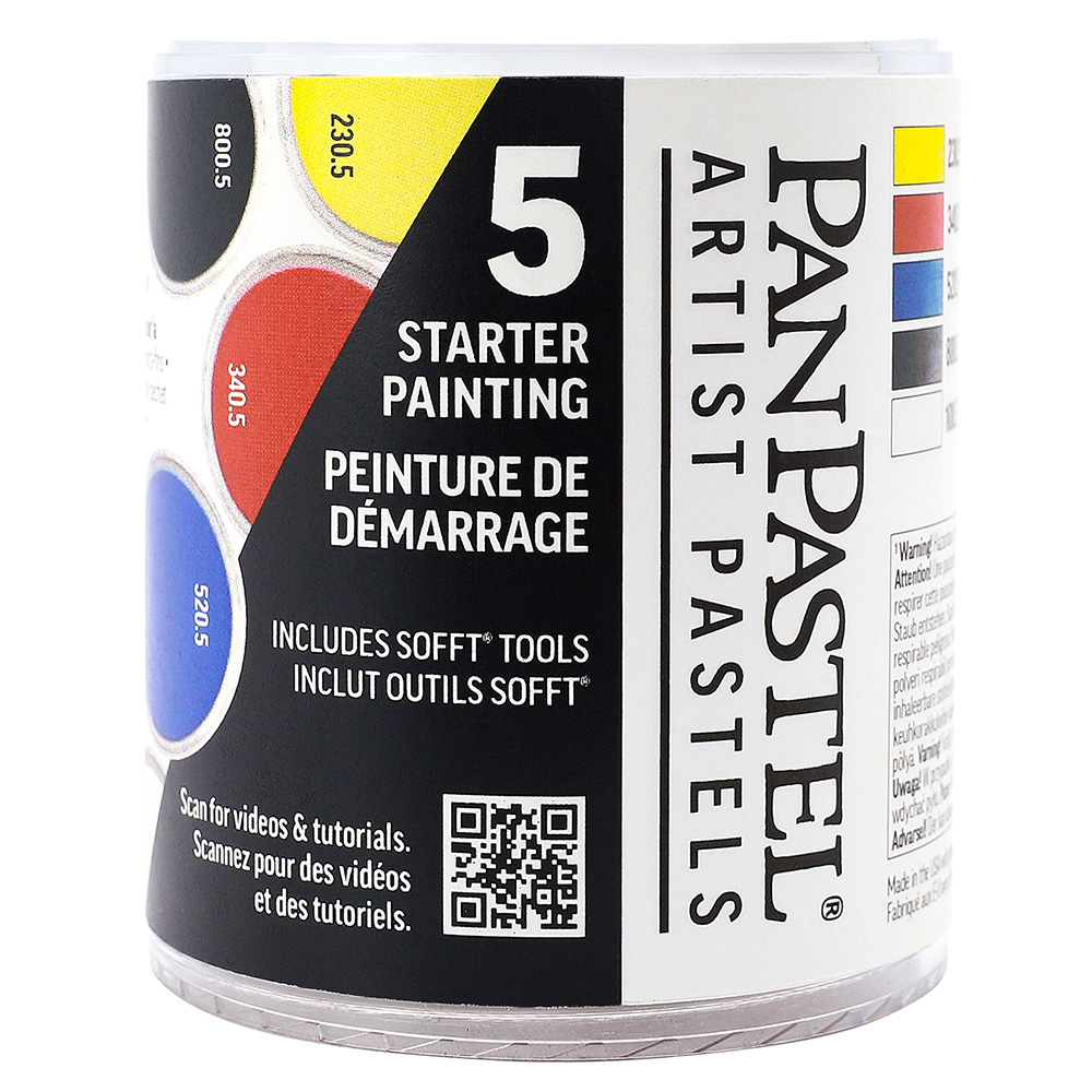 Panpastel 5 Color Starter Set Painting V2