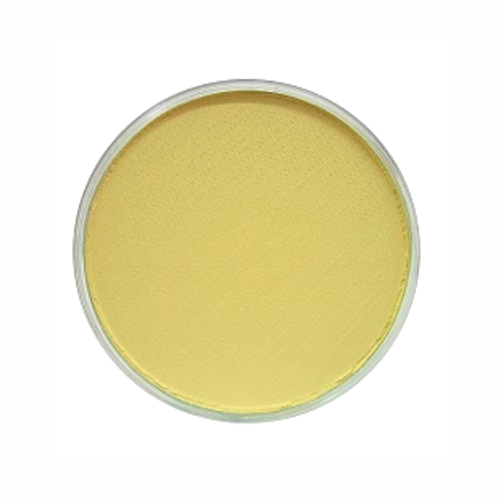 Panpastel Color Yellow Ochre Tint