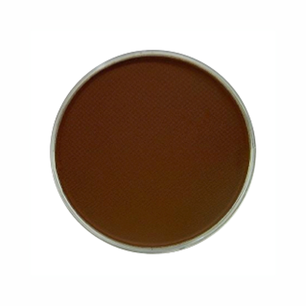 Panpastel Color Burnt Sienna Shade