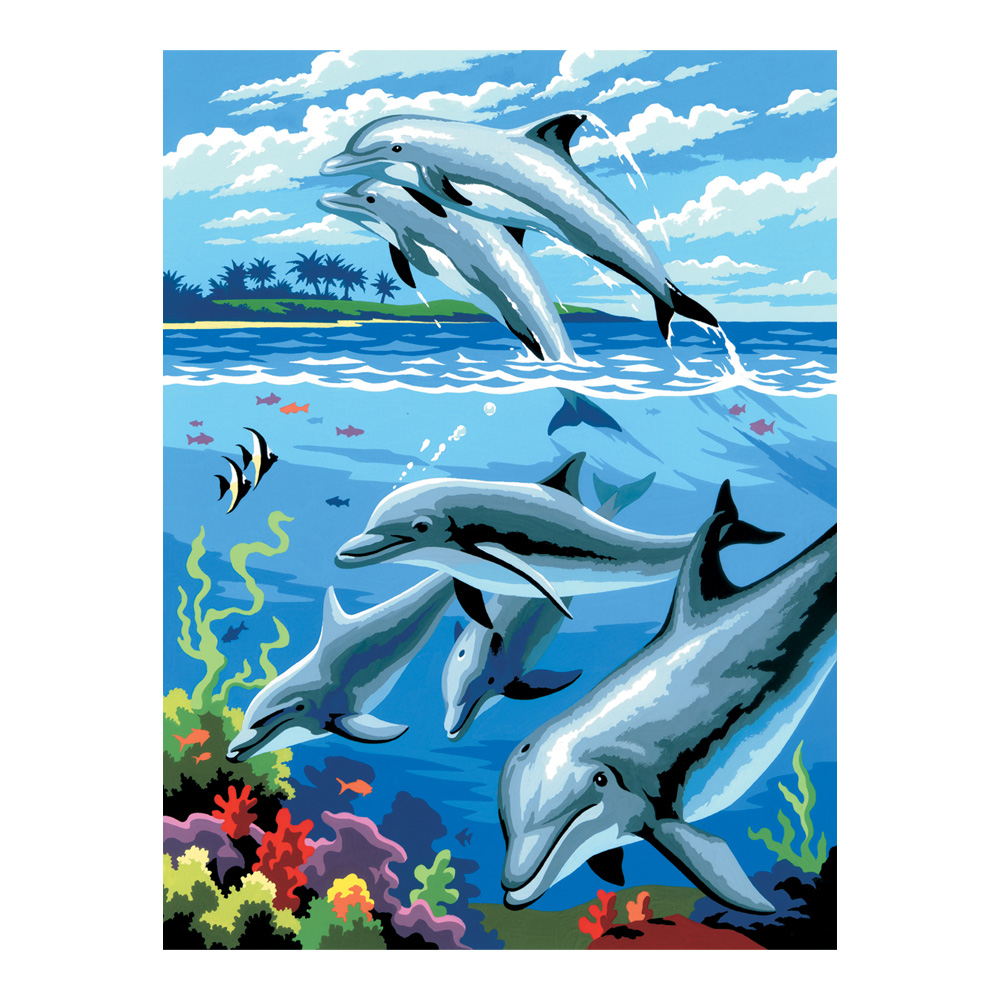 R&L Small Paint by Numbers Jr. Dolphins