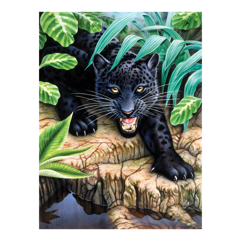 R&L Small Paint by Numbers Jr. Black Leopard