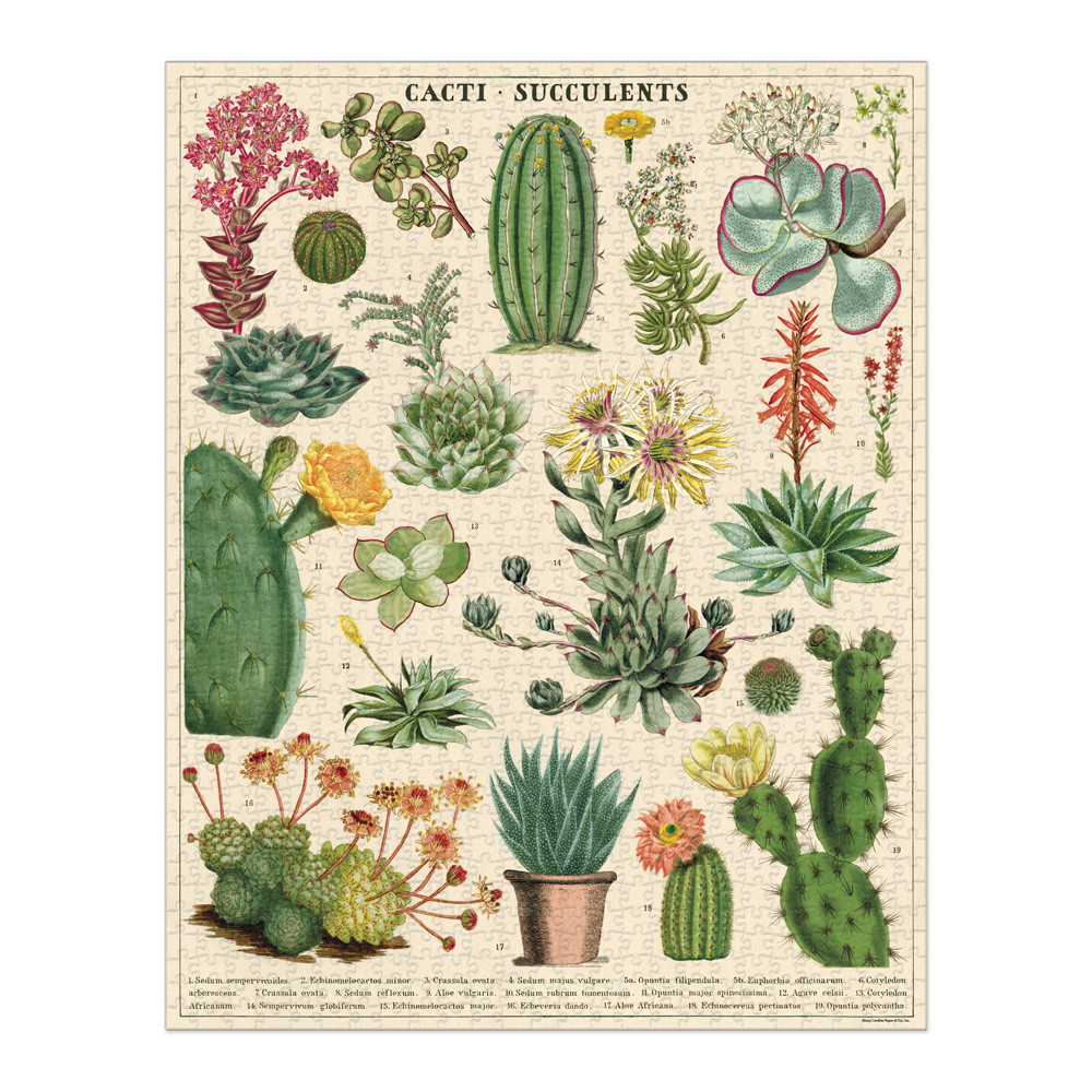 Cavallini 1000 Piece Puzzle Cacti & Succulent