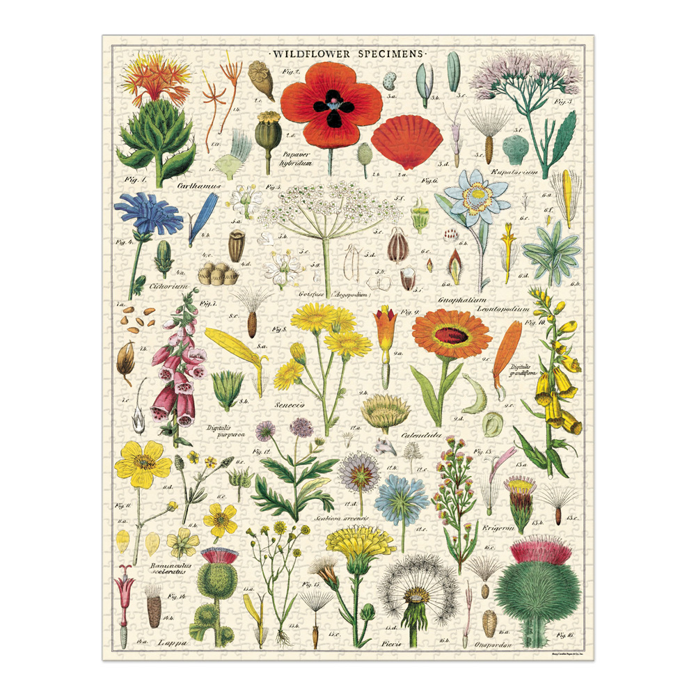 Cavallini 1000 Piece Puzzle Wildflowers