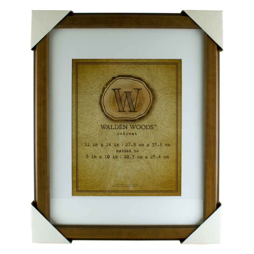 MCS Walden Woods Walnut Frame 11X14