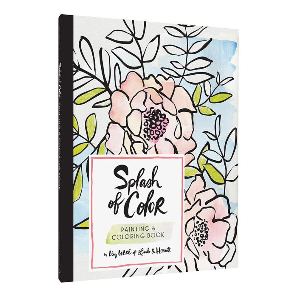 Splash of Color Painting & Coloring Book