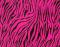 Wild Fashion 14.75 in X 15ft Neon Pink Zebr