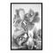 MCS Vernon Gallery Frame Black 24X36