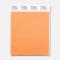 Pantone Poly Swatch 13-1325 Alluring Apricot