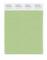 Pantone Cotton Swatch 14-0123 Arcadian Green