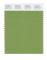Pantone Cotton Swatch 16-0233 Meadow Green