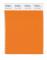 Pantone Cotton Swatch 16-1255 Russet Orange