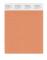 Pantone Cotton Swatch 16-1338 Copper Tan