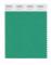 Pantone Cotton Swatch 16-5932 Holly Green