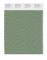 Pantone Cotton Swatch 16-6116 Shale Green
