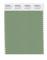 Pantone Cotton Swatch 16-6318 Mineral Green