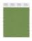 Pantone Cotton Swatch 17-0133 Fluorite Green