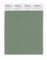 Pantone Cotton Swatch 17-0210 Loden Frost