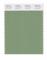 Pantone Cotton Swatch 17-0215 Aspen Green