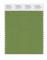 Pantone Cotton Swatch 17-0230 Forest Green