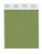 Pantone Cotton Swatch 17-0235 Piquant Green