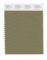 Pantone Cotton Swatch 17-0627 Dried Herb