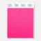 Pantone Polyester Swatch 17-2255 Cheeky Pink