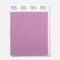 Pantone Polyester Swatch 17-3316 Purple Jaspe