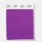Pantone Polyester Swatch 17-3763 Afterparty