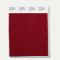 Pantone Polyester Swatch 18-1548 Winery