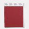 Pantone Polyester Swatch 18-1726 Red Moscato