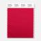 Pantone Polyester Swatch 18-1850 Red Lacquer