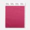 Pantone Polyester Swatch 18-2534 Dried Hydran