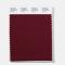 Pantone Polyester Swatch 19-1520 Goth Red