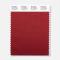 Pantone Polyester Swatch 19-1730 Carriage Red