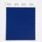Pantone Cotton Swatch 19-3943 Bellwether Blue