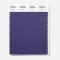 Pantone Polyester Swatch 19-4036 Astral Night